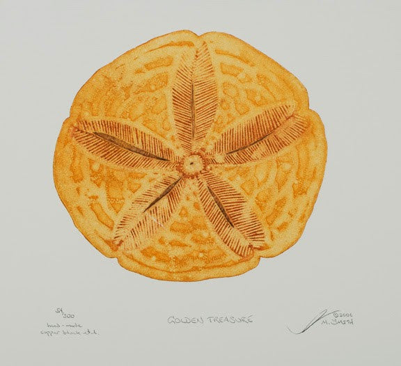 Golden Treasure - Sand Dollar